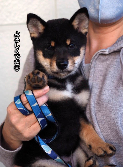 19日ブログ８