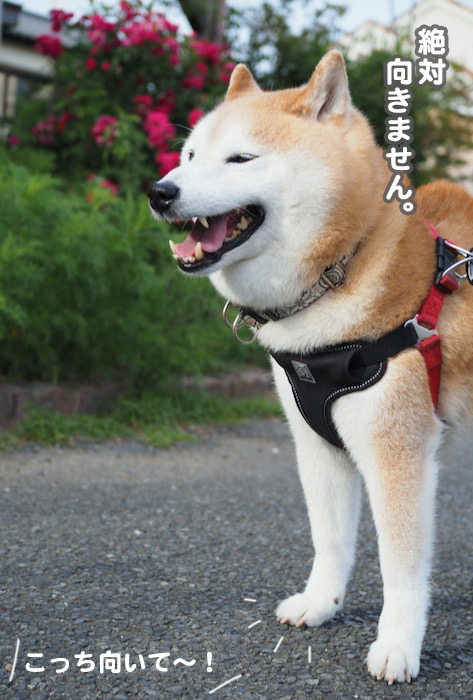 25日ブログ４