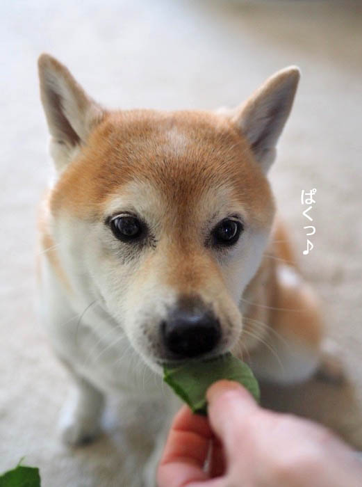 1日夜ブログ５