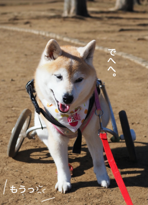 12日夜ブログ６