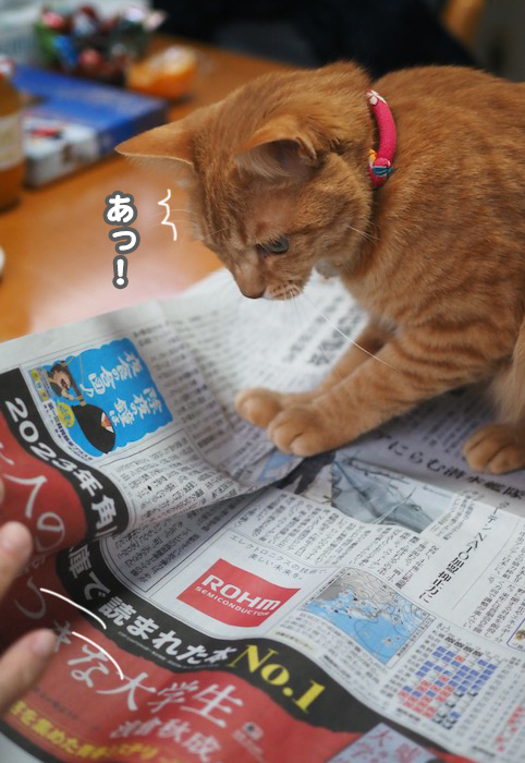 31日夕ブログ２