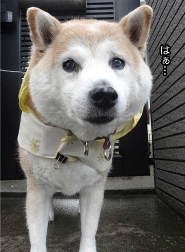 28日ブログ10.jpg