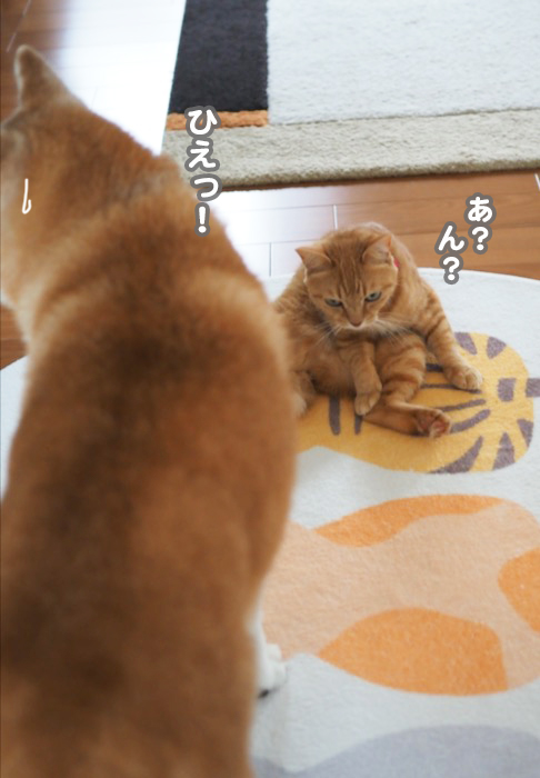 19日ブログ２