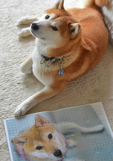 22日ブログ2.jpg