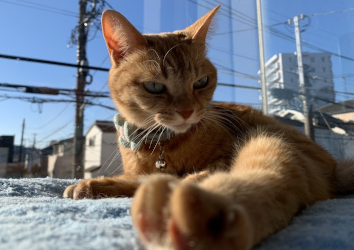 17日ブログ１