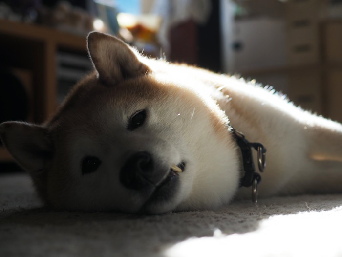 11日ブログ４