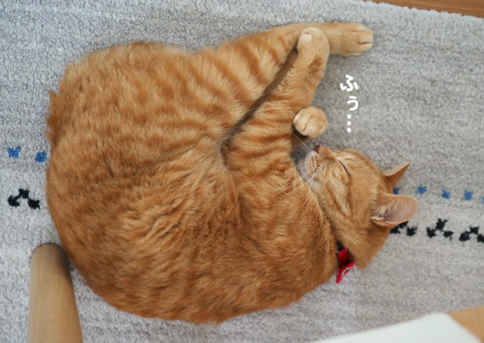 1日夕ブログ５
