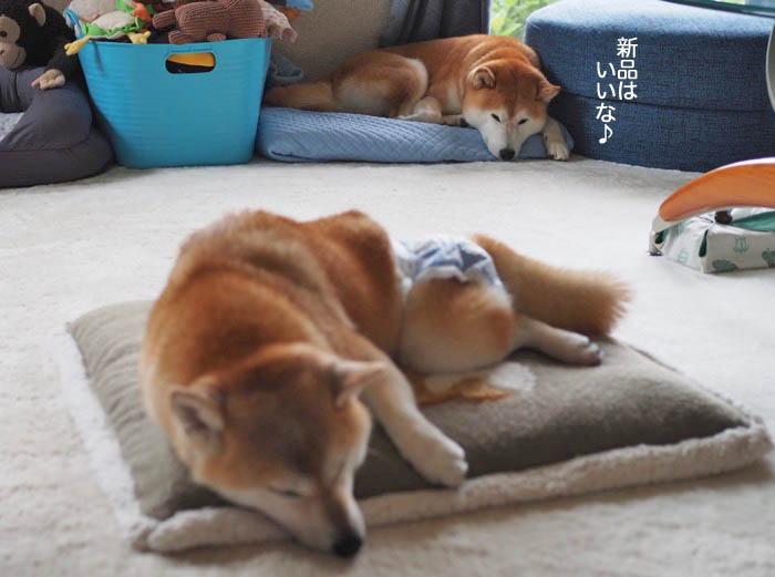 8日ブログ９