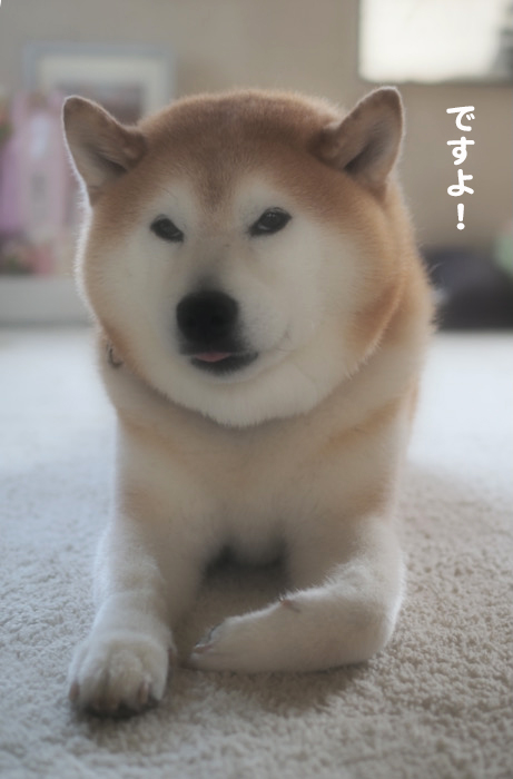 12日ブログ５