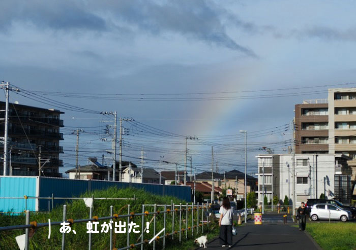 3日夕ブログ３