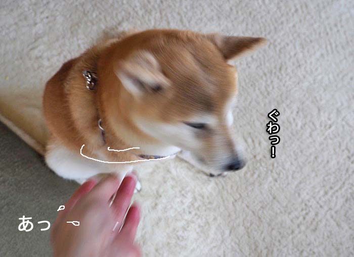 24日午後ブログ10