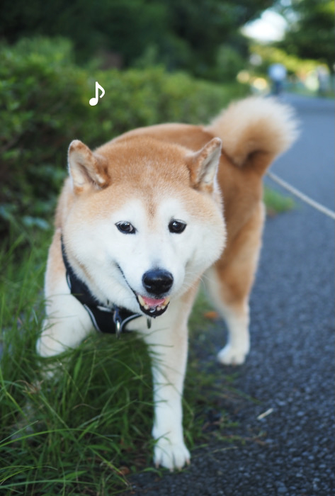 20日夕ブログ５