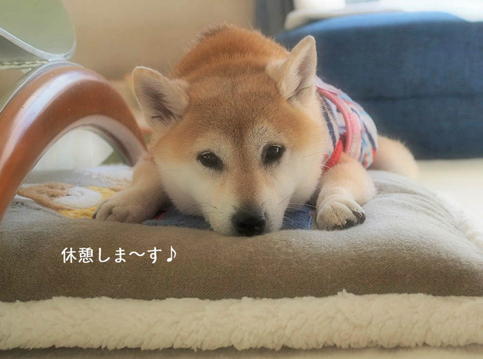 27日ブログ2