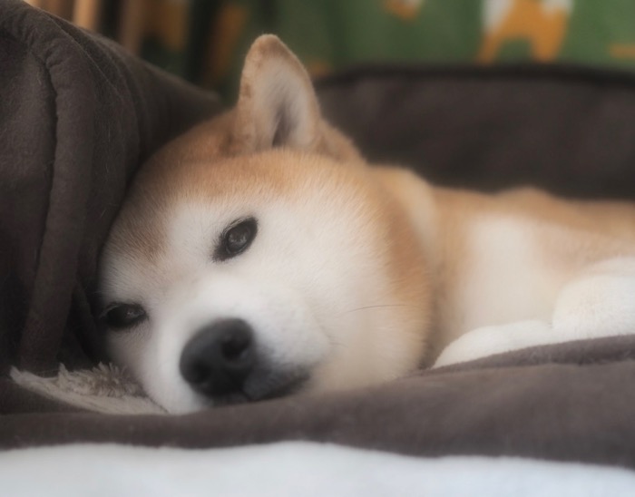 15日ブログ１