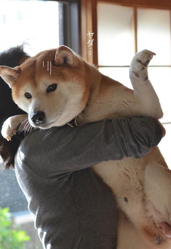 13日ブログ5