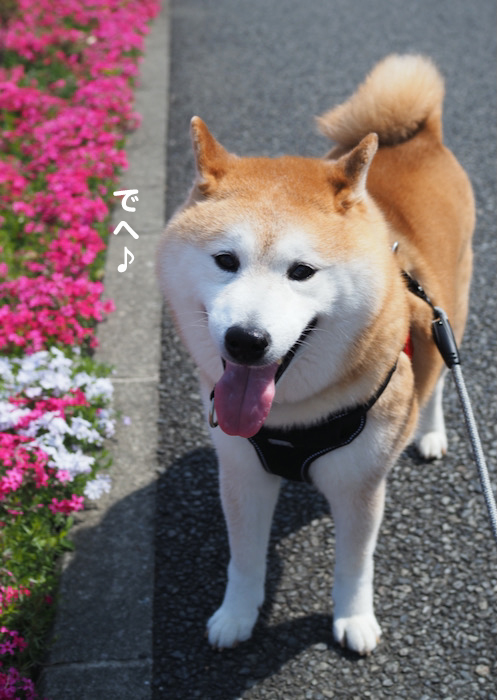 7日ブログ２