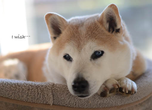 31日ブログ2.jpg