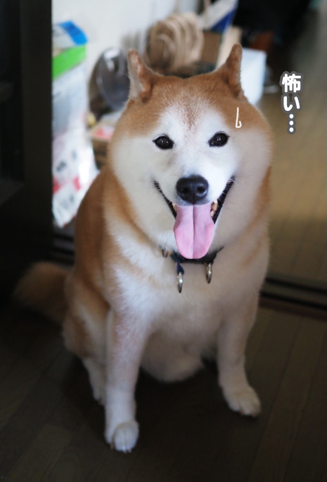 12日夕ブログ３