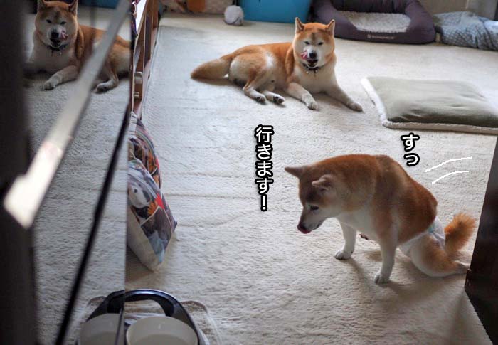 28日ブログ６