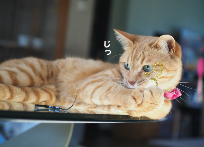 4日夕ブログ１３