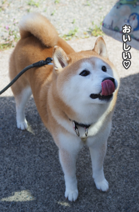 31日夕ブログ５