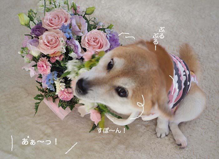 13日ブログ６