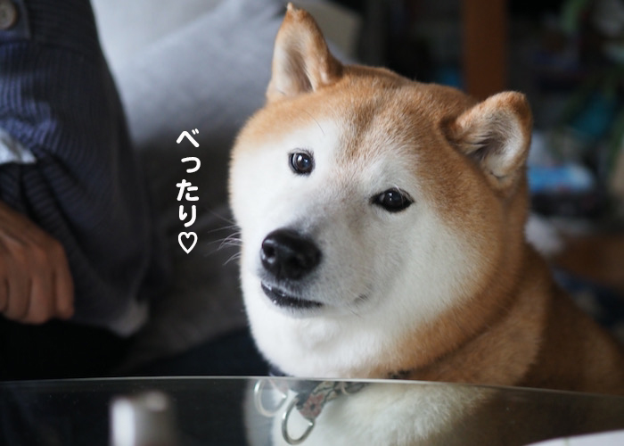 26日夜ブログ１０