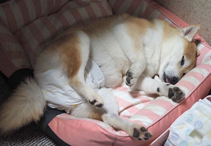 7日ブログ１