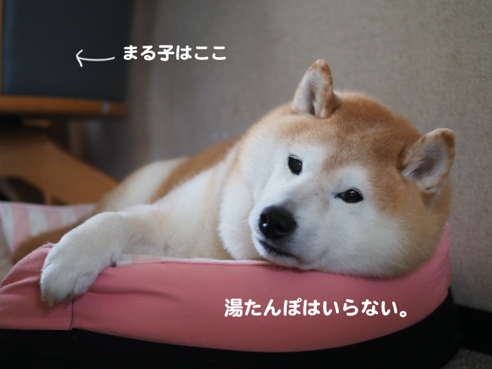 15日夕ブログ６
