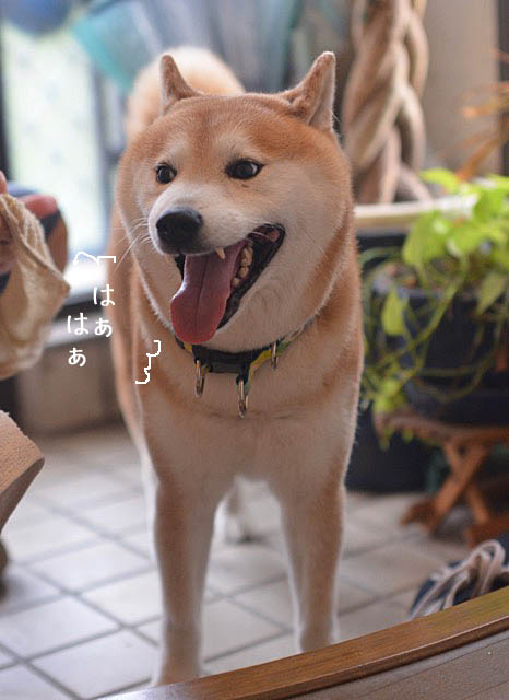 13日ブログ２