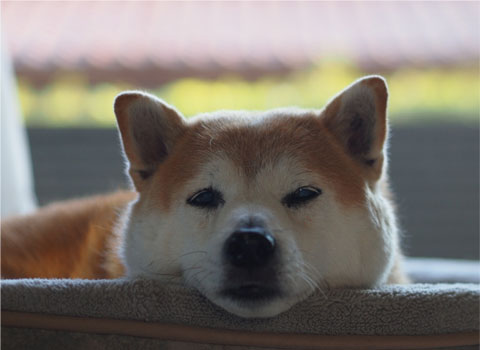 28日ブログ２.jpg