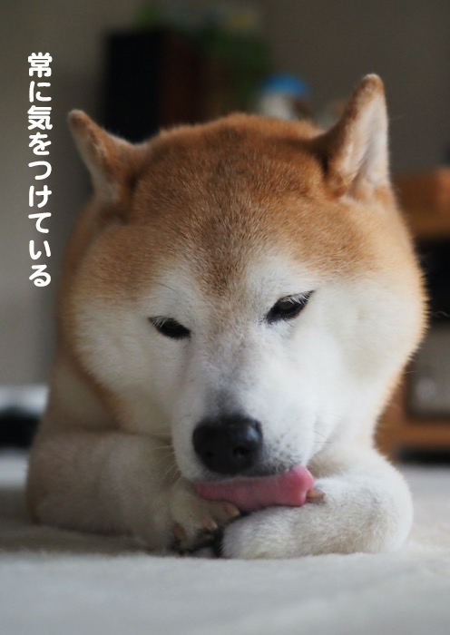 26日夜ブログ4