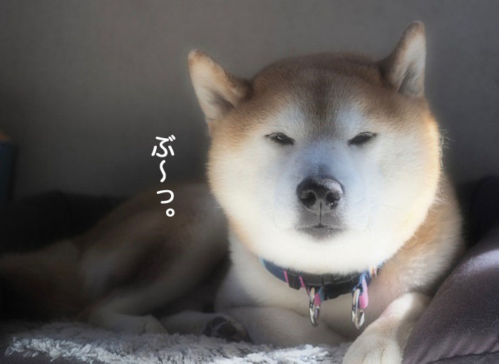 13日夜ブログ２