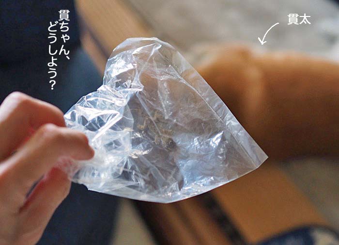 9日ブログ7