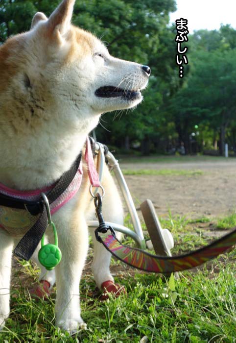 21日ブログ４
