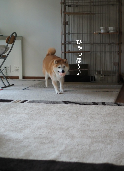 14日夕ブログ４