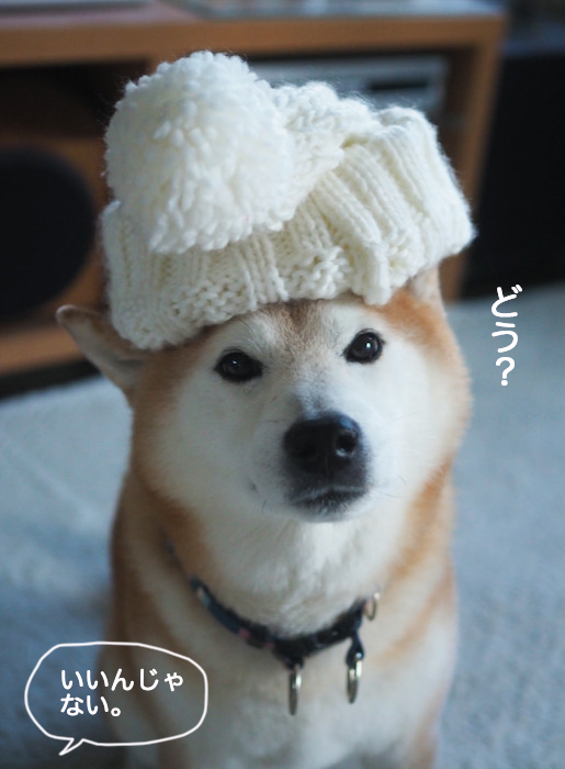6日夕ブログ７