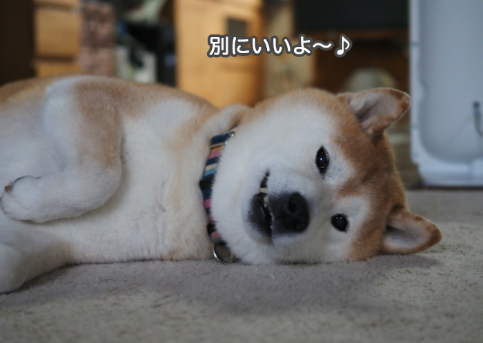 15日ブログ３