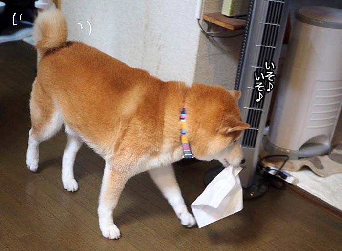 10日夕ブログ６