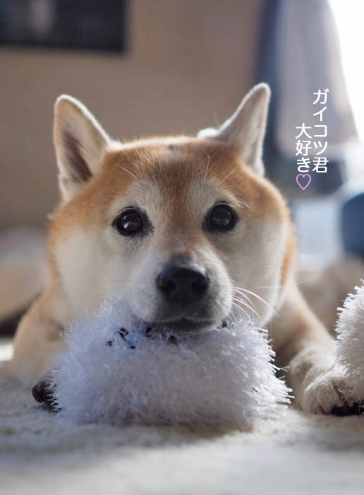 24日夜ブログ６