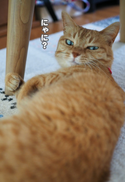 29日夕ブログ１０