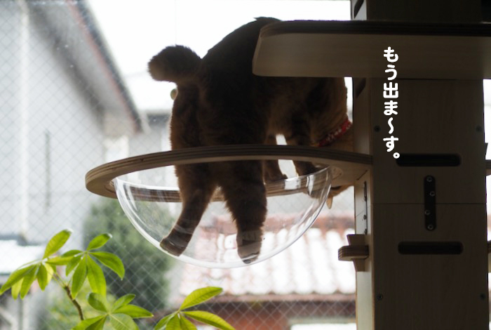 7日ブログ９