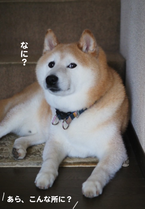 18日ブログ３