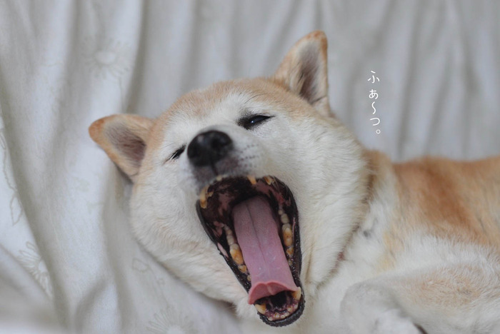 19日ブログ4