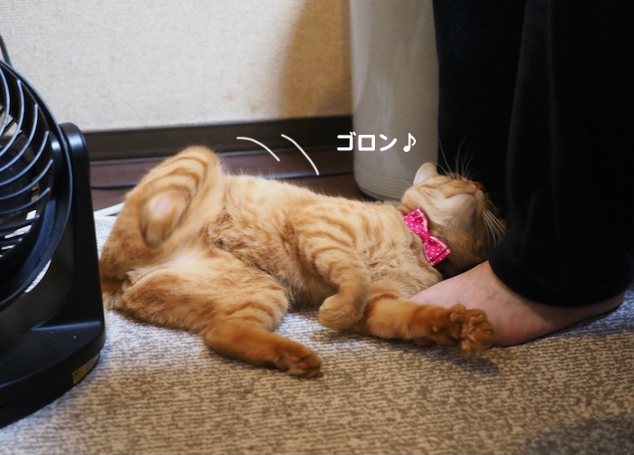 22日夜ブログ２