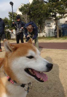28日ブログ7.jpg