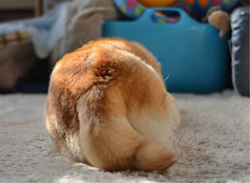 19日ブログ10.jpg