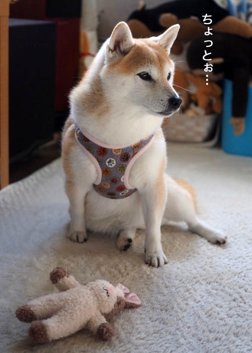 26日ブログ３