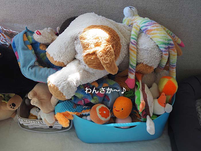24日ブログ２