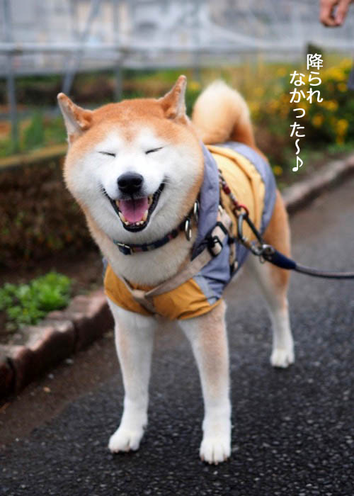 17日夕ブログ６